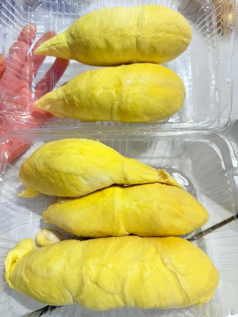 这榴莲怎么还住上单间了 偶遇可爱名场面，简单的快乐不请自来，认真享受当下每一刻。