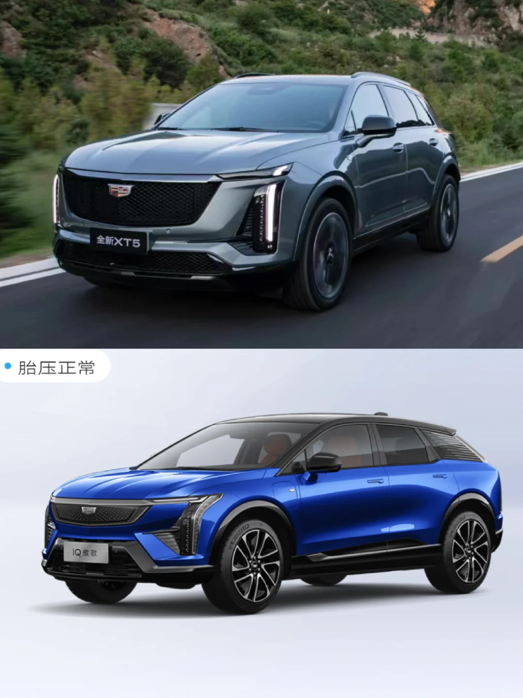 用油还是电？凯迪拉克终于可以选了