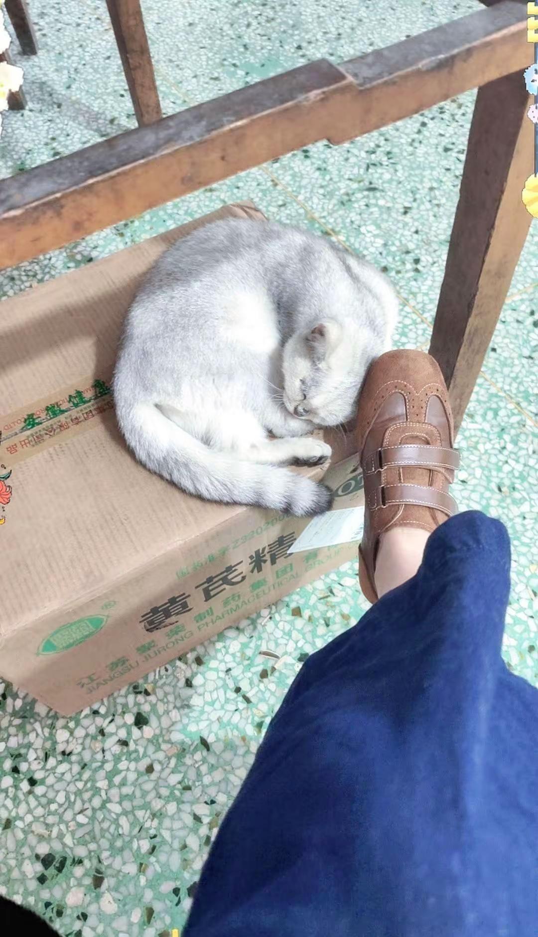 豫剧的尽头是DJ，刘墉的尽头是南京城蹦迪。刘罗锅到死也不会知道，几百年以后他学会