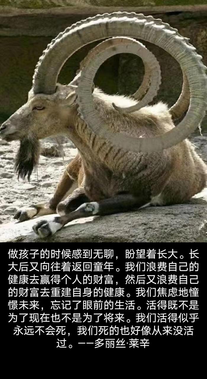 名中医自制“心血管”茶喝了40年，老年病都消了！（附配方）[赞啊][赞啊]#中医