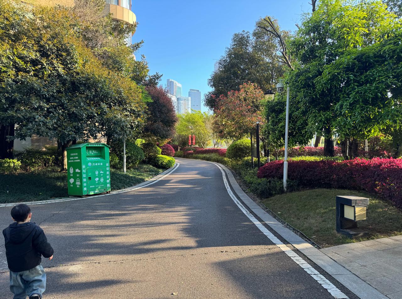 长沙终于种出太阳了🌞 ​​​