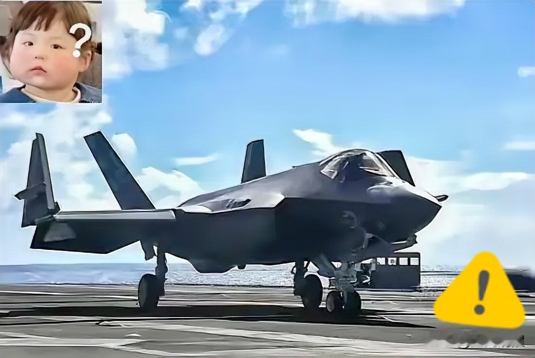 1.1亿美金的“隐身”战机，这回是真隐身了，连雷达都找不着。

1月16日，日本