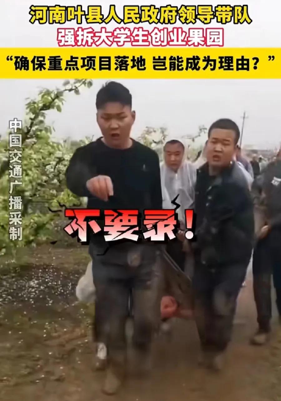 叶县，果园被强拆，政府赔偿18万，其实不少了，平顶山媒体，曾宣传报道贾柯果园，母