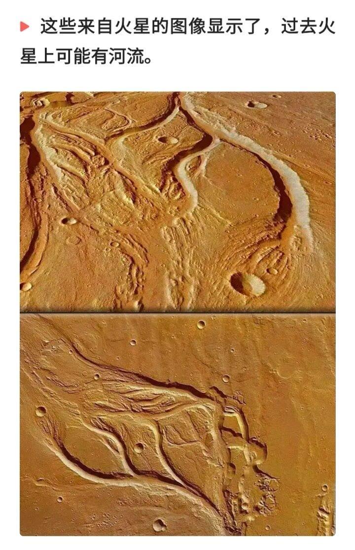 难道火星以前是有生物存在过？