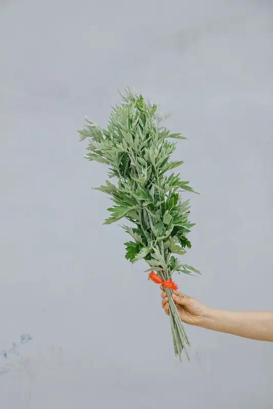 母亲带女儿给消防员送艾草，这画面太暖心了！消防员们总是默默守护着大家，舍小家为大