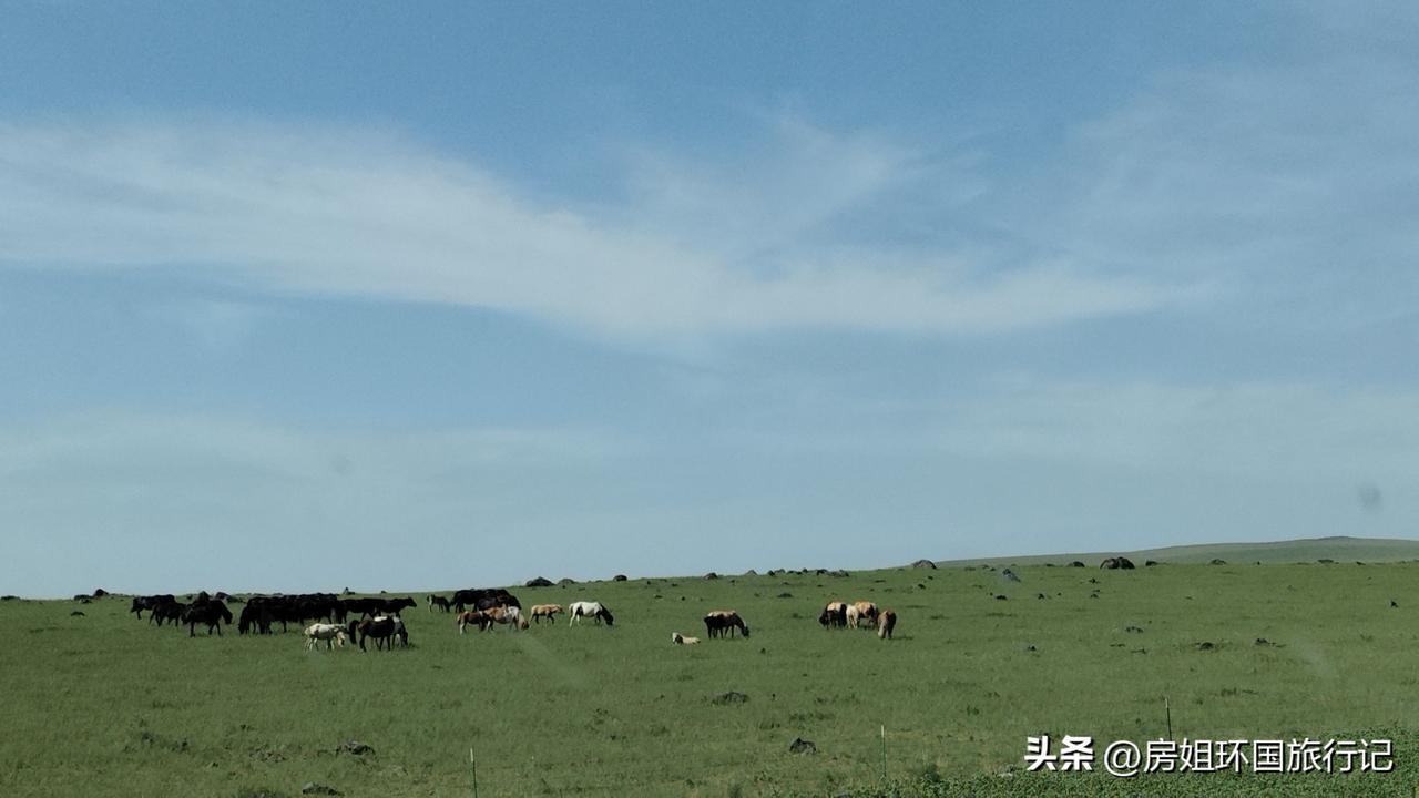 这应该就是内蒙古大草原的样子吧！