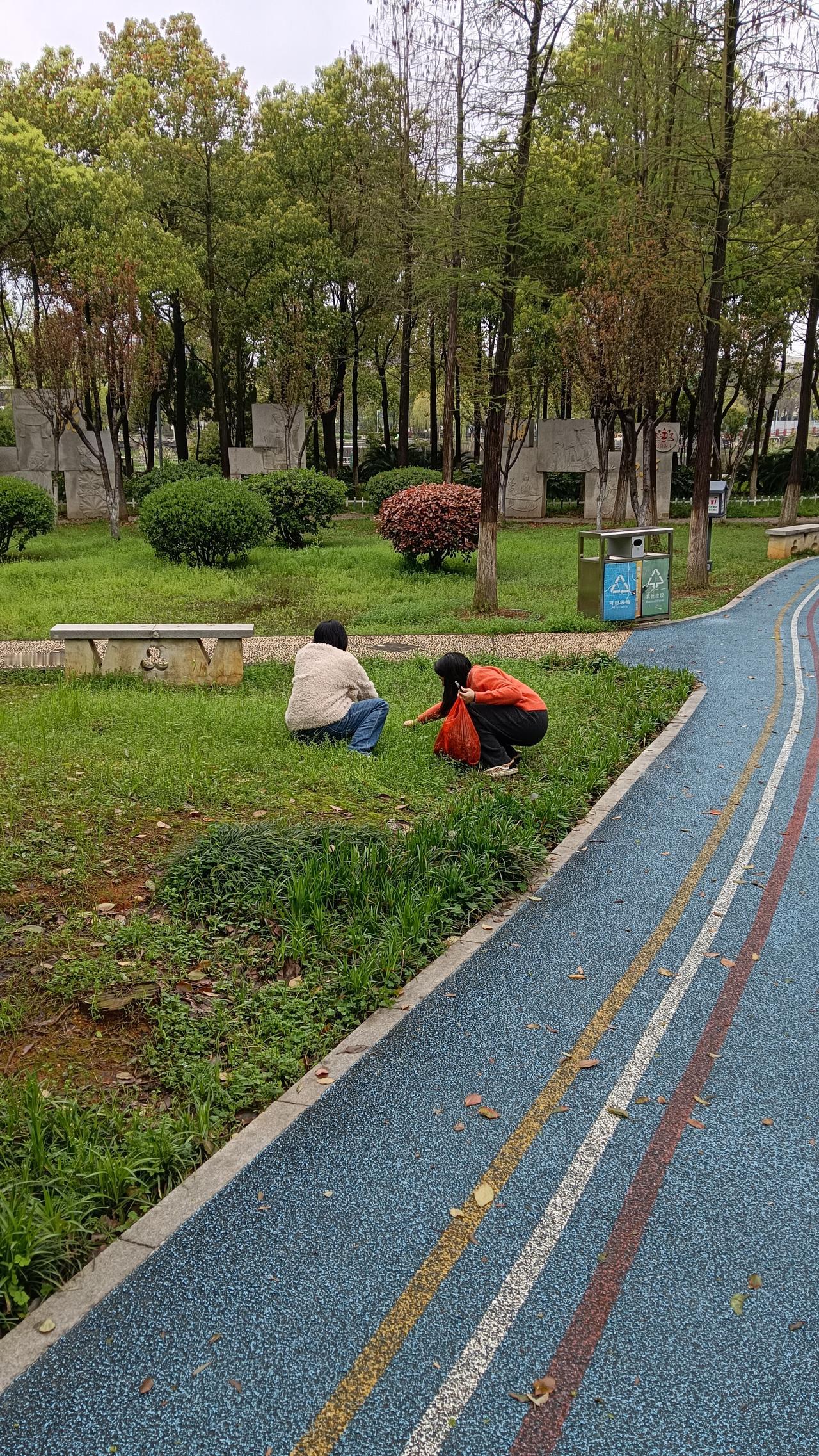 这是扯什么野菜吧。每年春天草地里都两扯。虽劳动跟愉快。