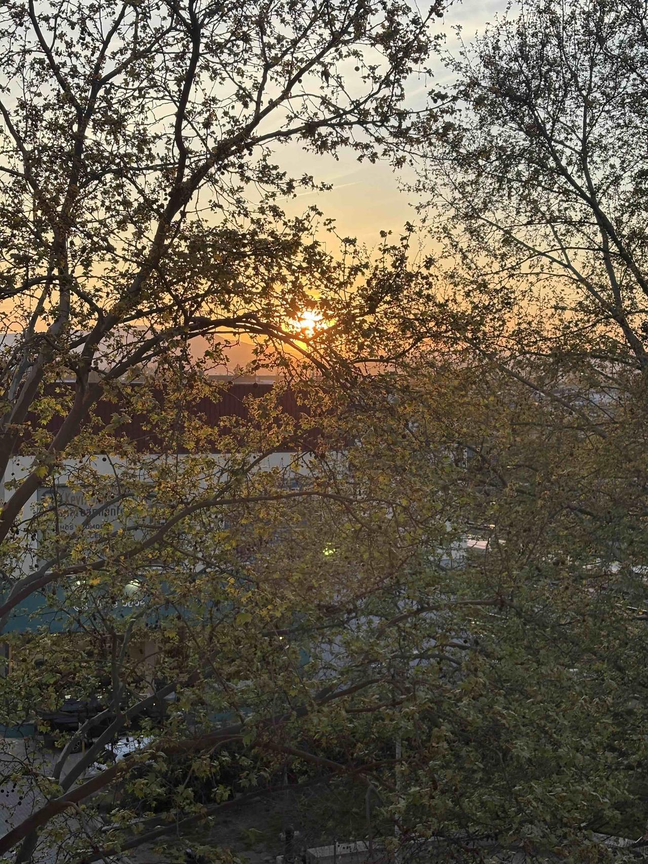 今年一直在忙着搬家，租房，买房，今年春天最想实现的心愿希望生活能尽快的安稳。
