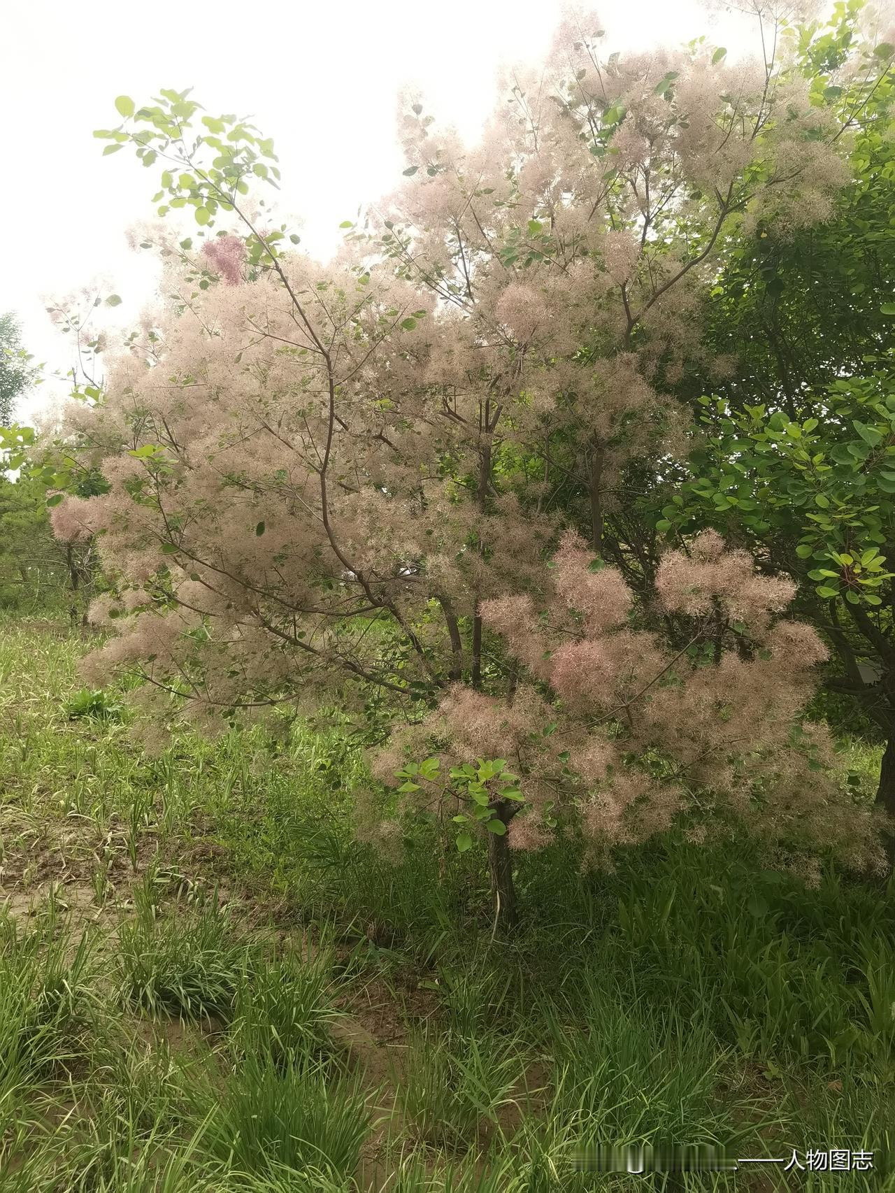 晒图笔记大赛