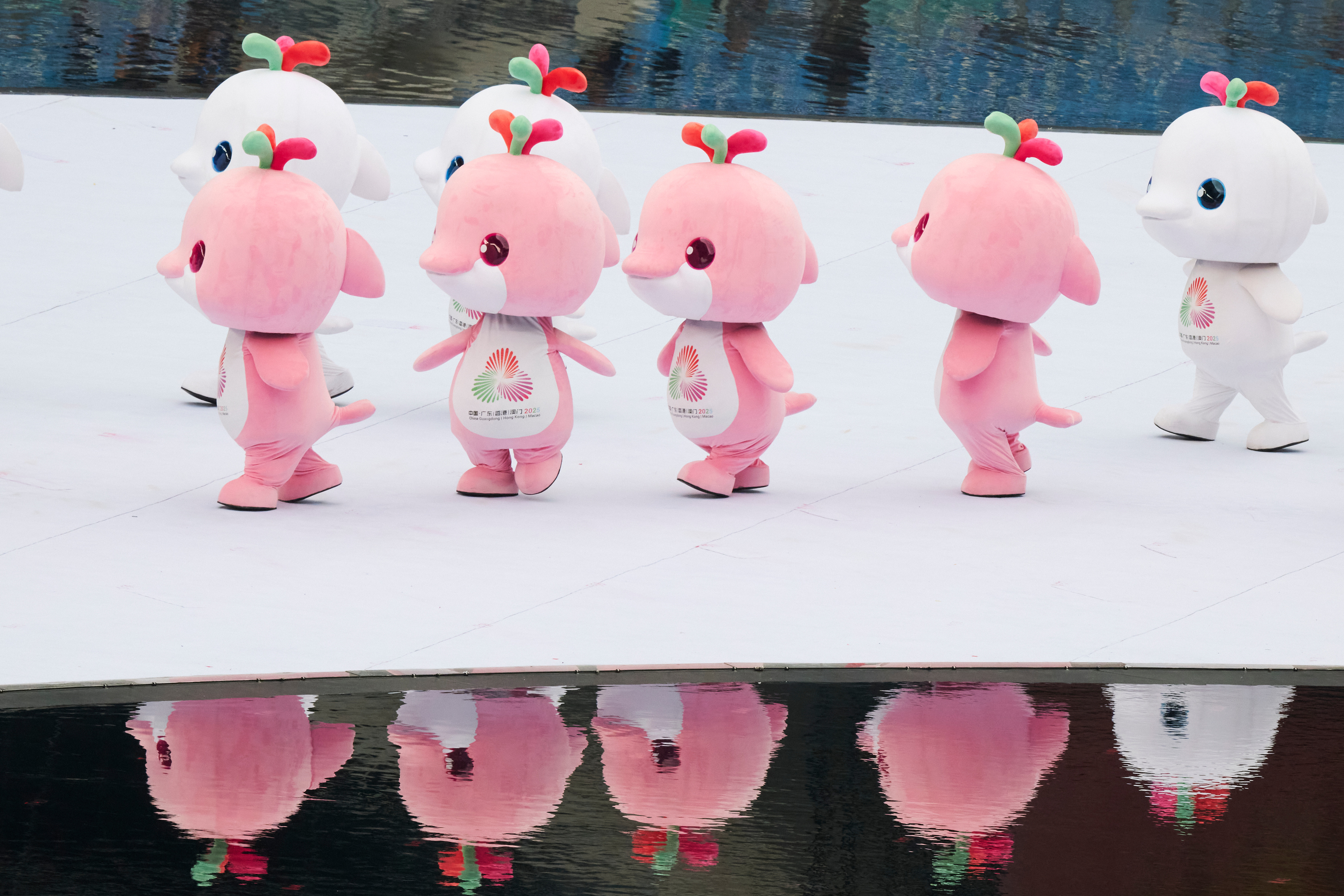 全运会的大湾鸡也萌太可爱了吧？！ 摄影： 记者 李建艺 