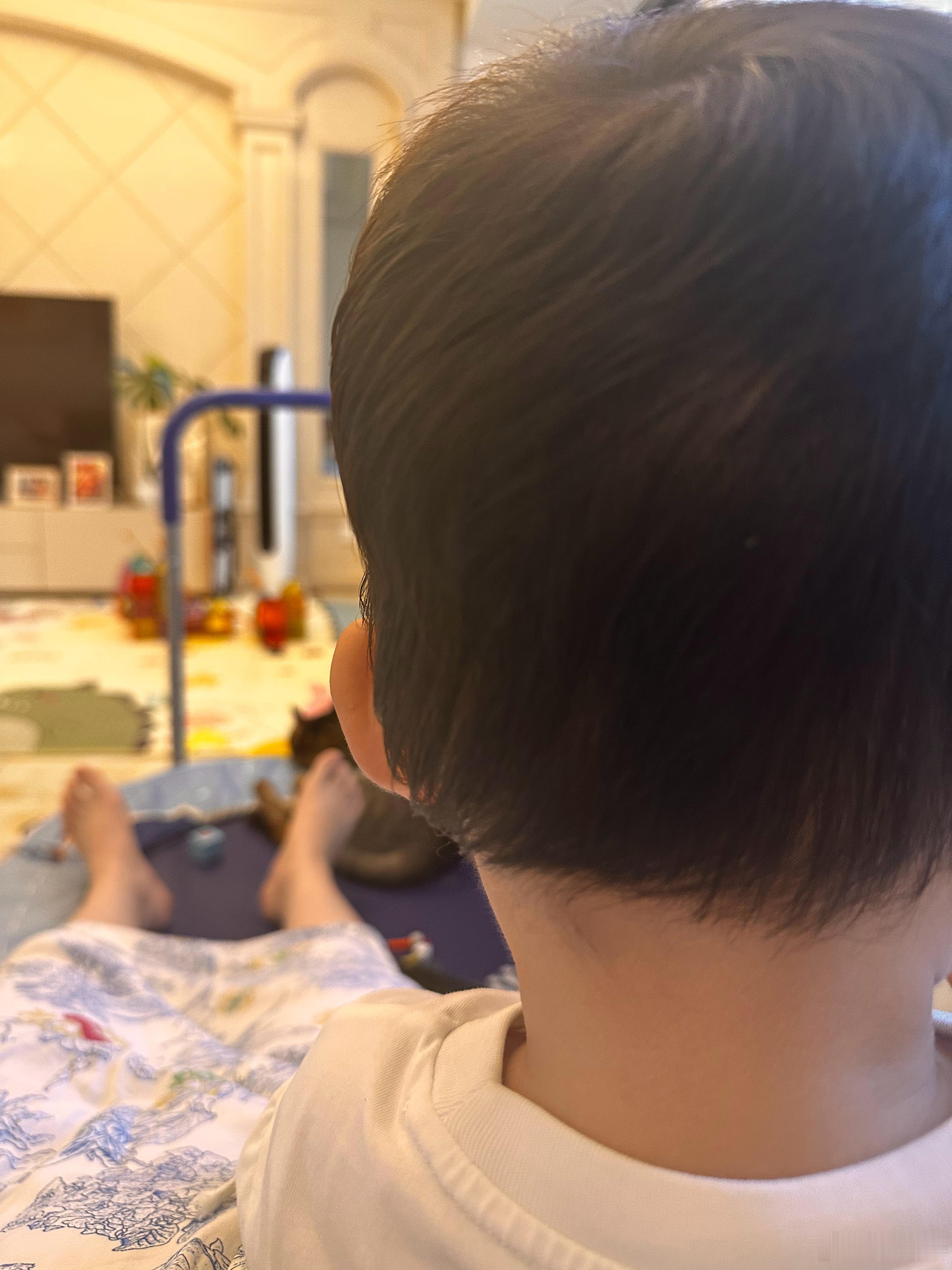 养小孩跟养小狗差不多，我说真的。这二者智力水平差不多，狗需要服从性，看主人，不听