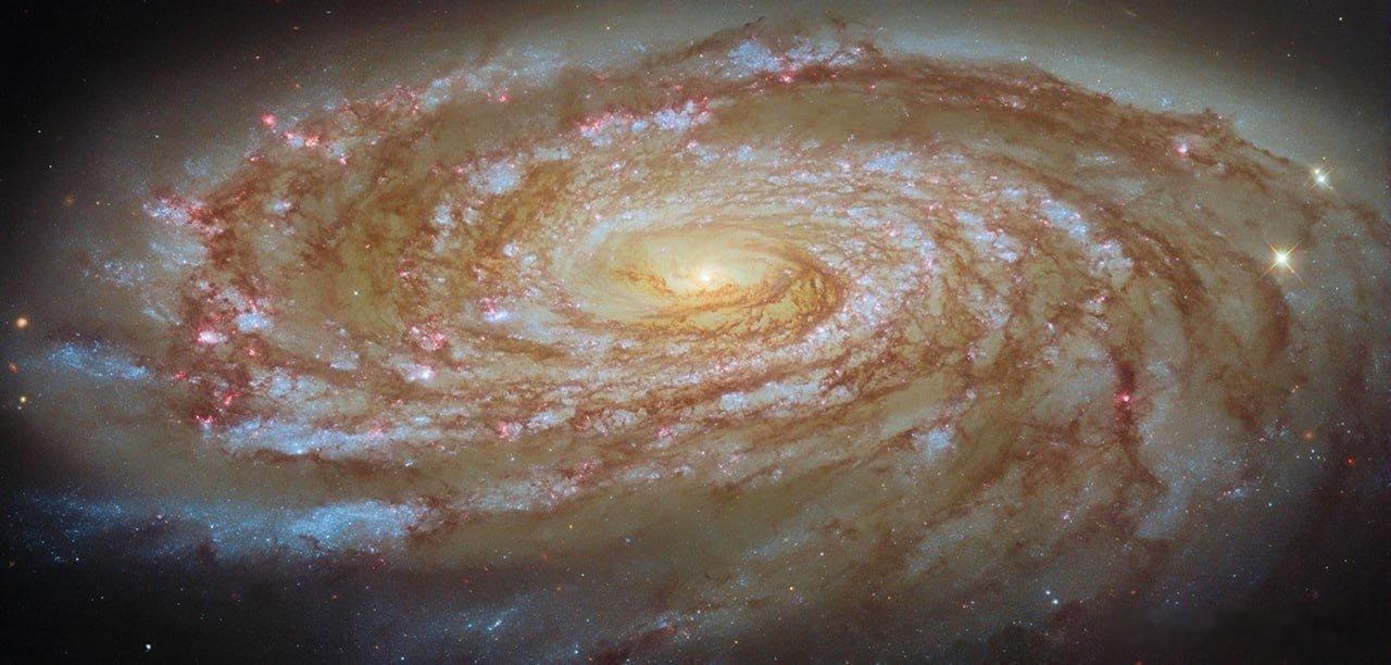 银河 M88：室女座星系团中的一座星城，位于 6300 万光年之外，螺旋星系 M