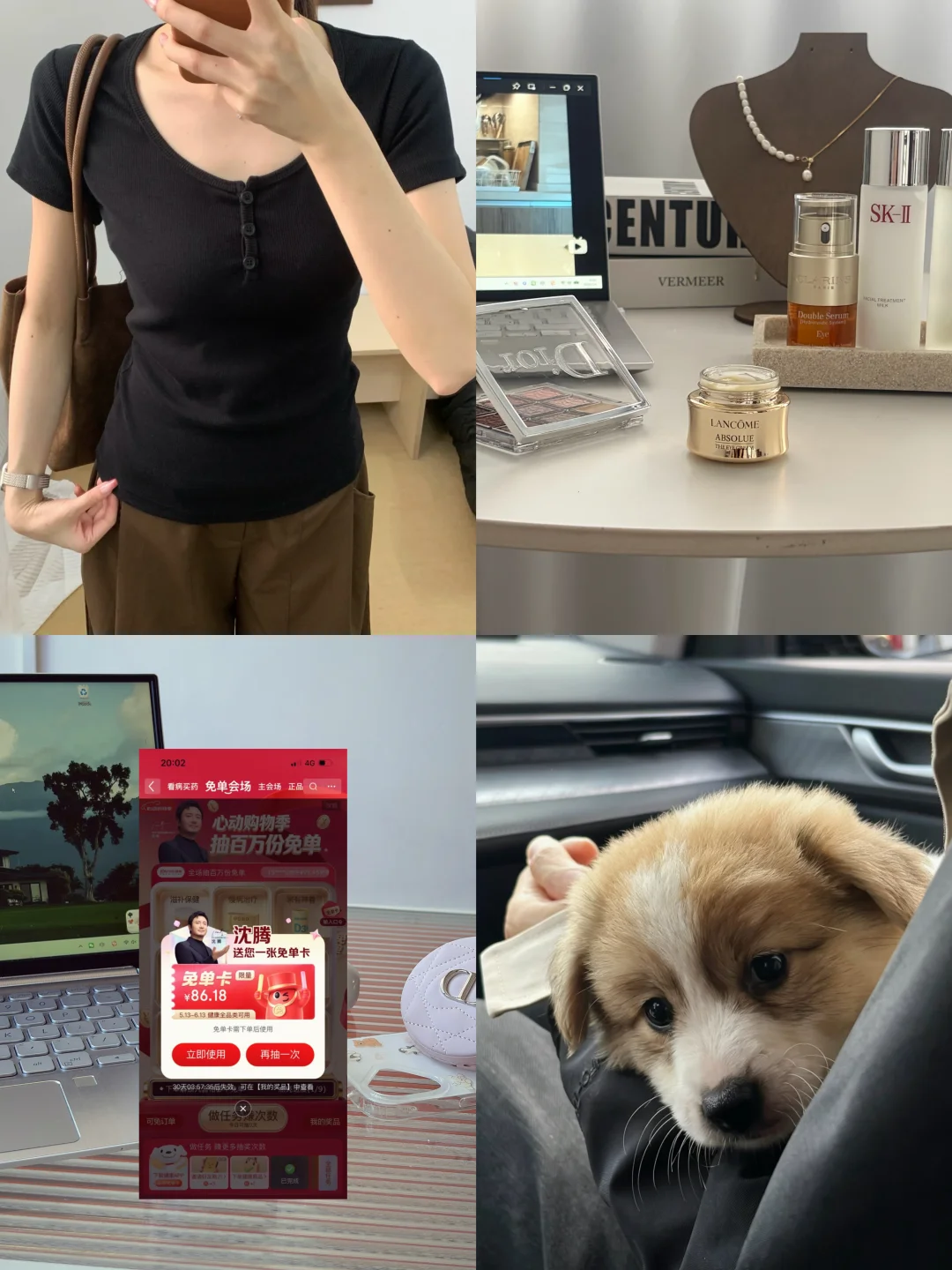 独居女孩｜小狗闯入生活，我闯进京东618免单✨