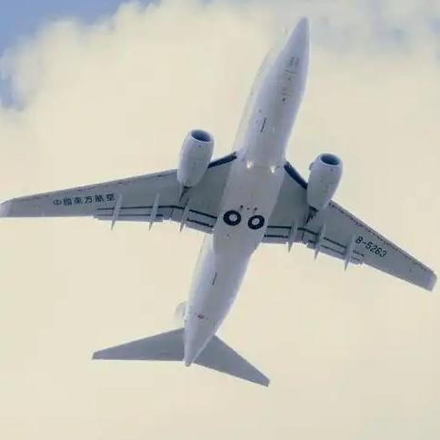 11月10日一名怀孕超过35周的孕妇在登机后，因要求特殊照顾被机组劝离，孕妇拒绝