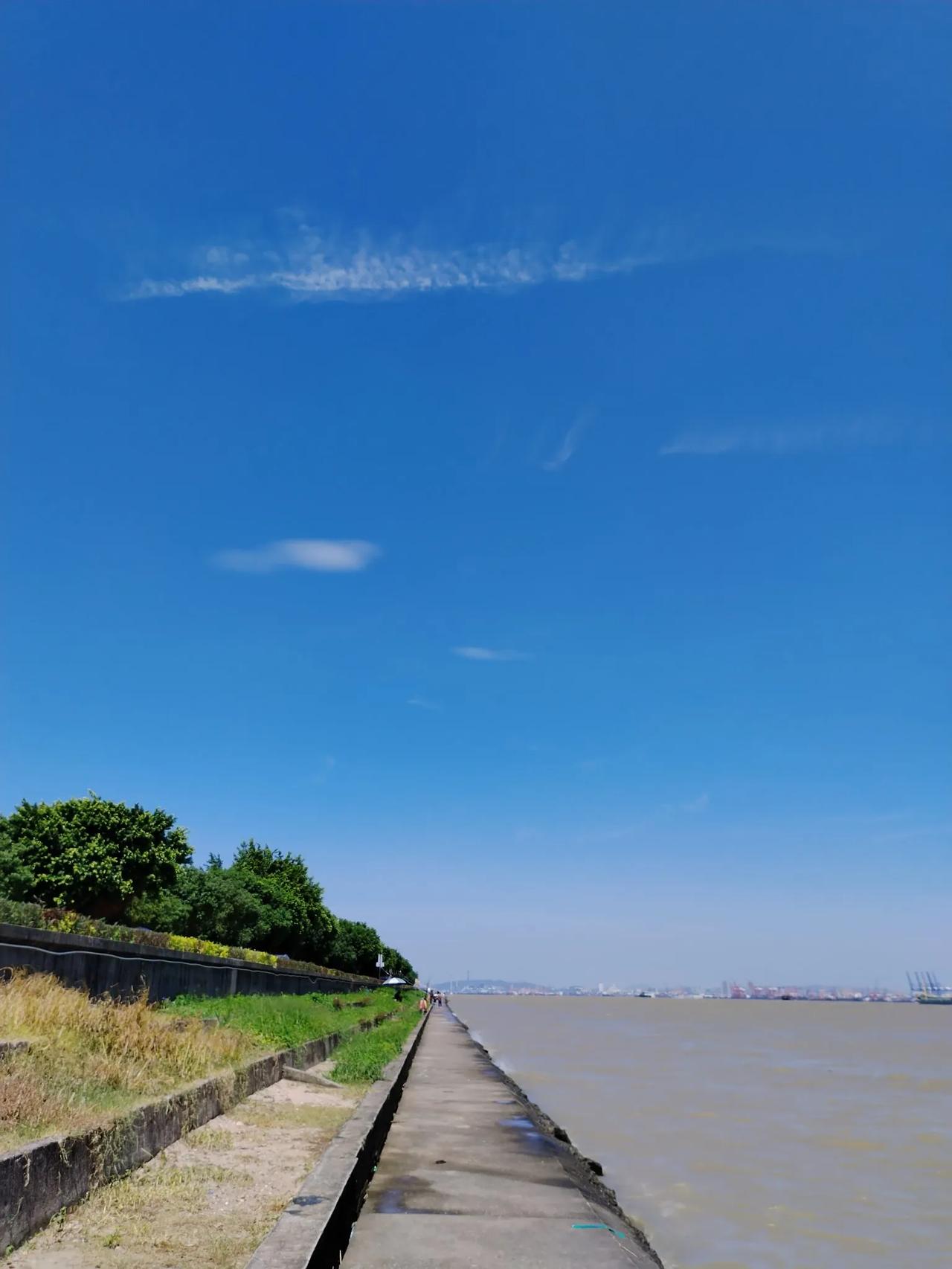 海鸥岛.国庆
趋行百里赴江洲，浊浪涛天拍岸秋。
鱼钓钩前无鱼钓，海鸥岛上无海鸥。