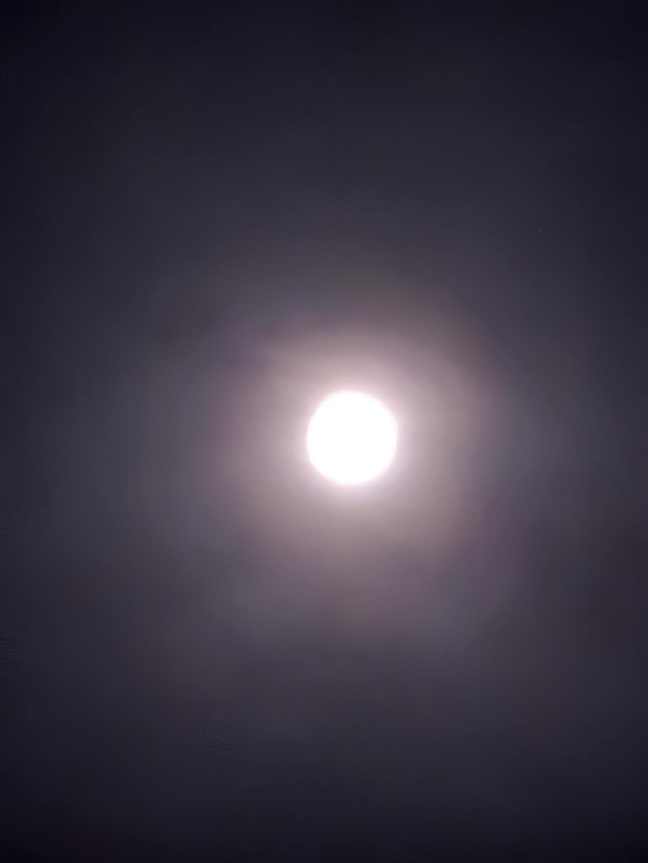 月落柳梢头，人约黄昏后……