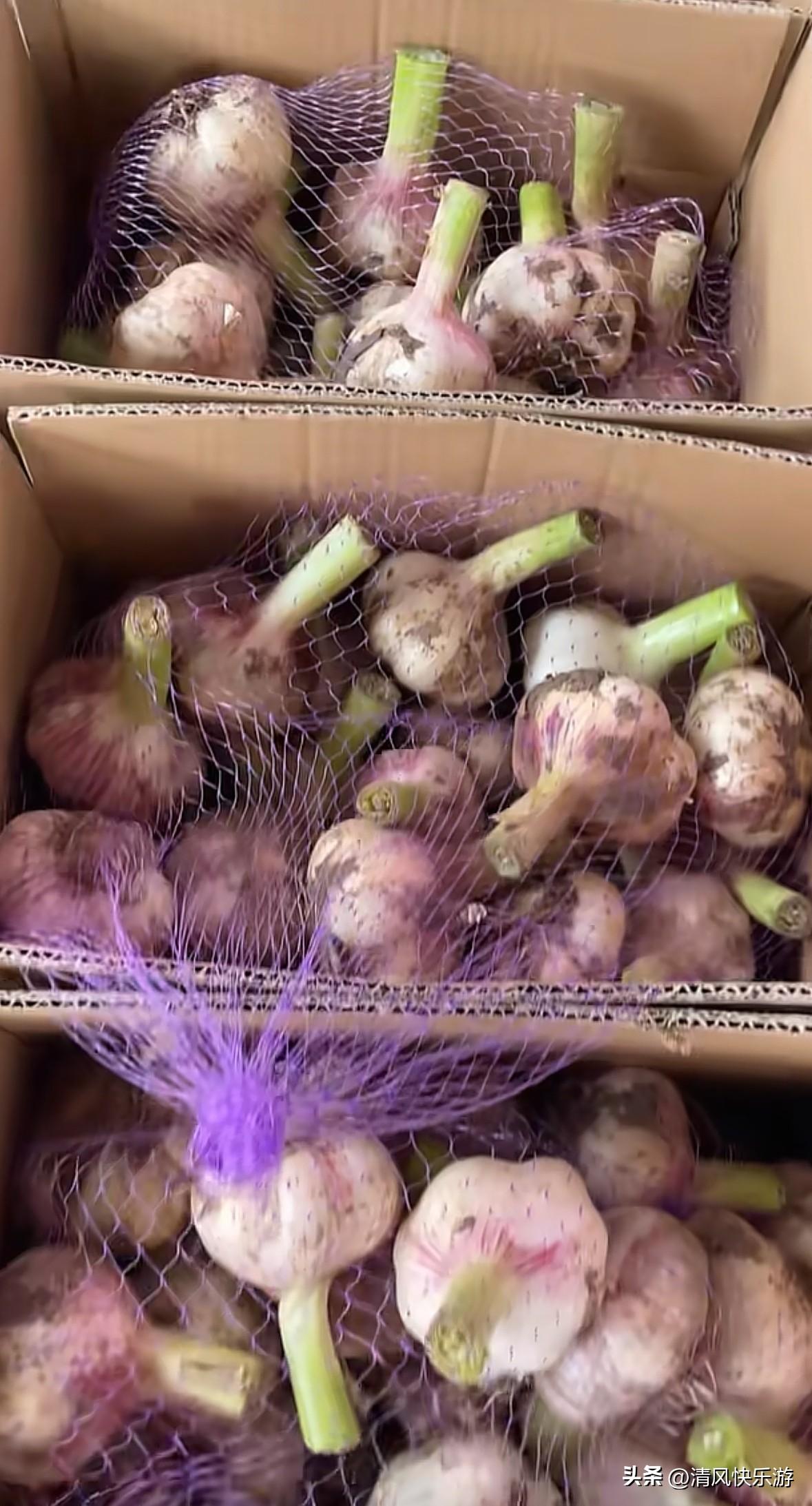 自己一个人在家做电商，今天终于顶不住了，正常情况下每天出单都是在500单到800