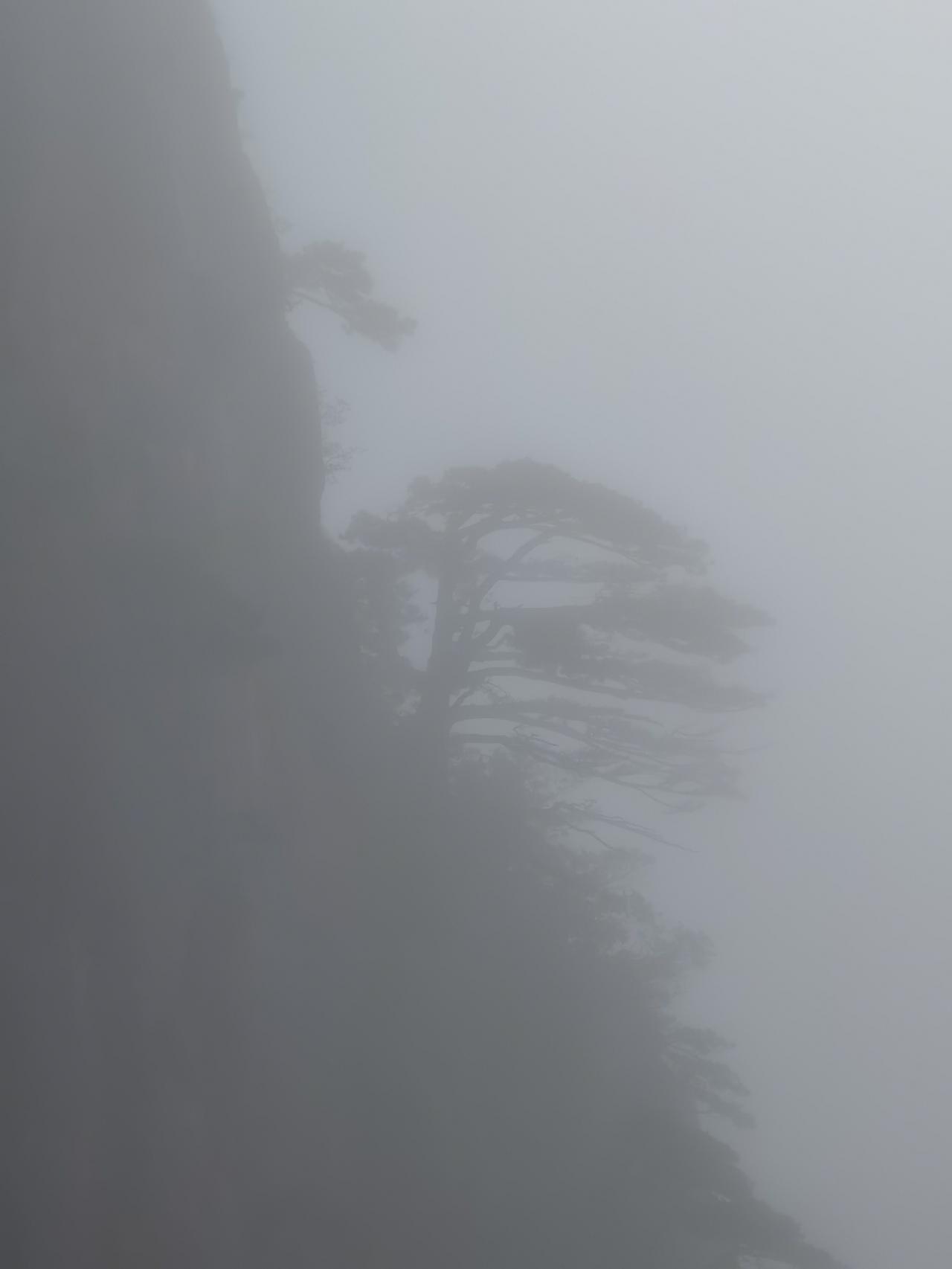 跨越上千公里，花费门票景交票400元，见到这样的黄山，简直要崩溃了！