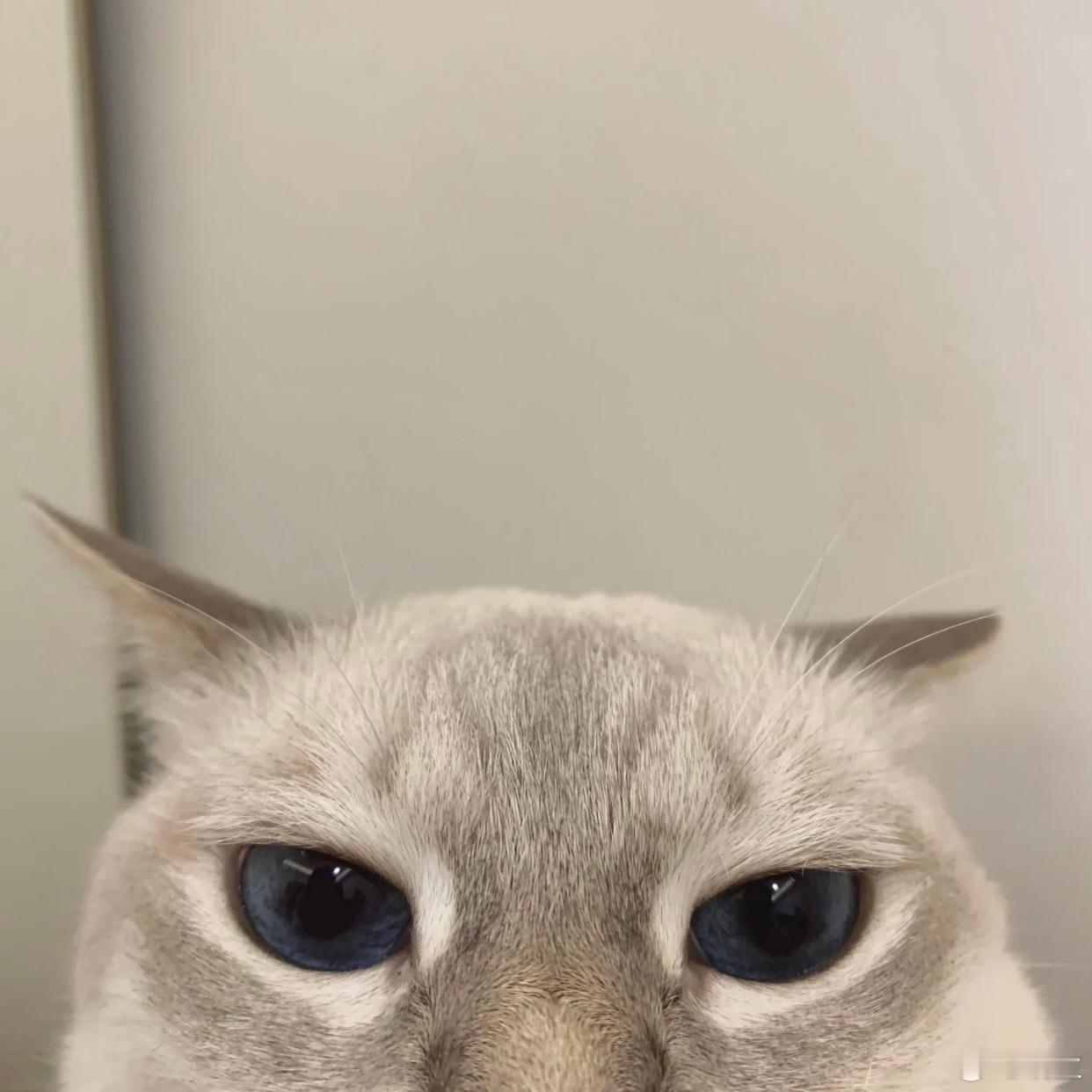 emmm这两天和一个许久未联系的老朋友重新联系上了之前我俩属于有点断崖式断联的状