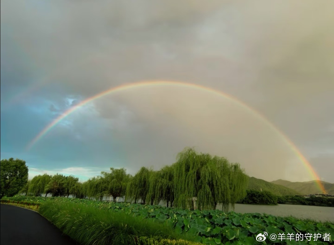 临海 灵湖雨后，彩虹初现。荷风拂面，虹影落湖，把整个夏天的温柔，都揉进了这一瞬。