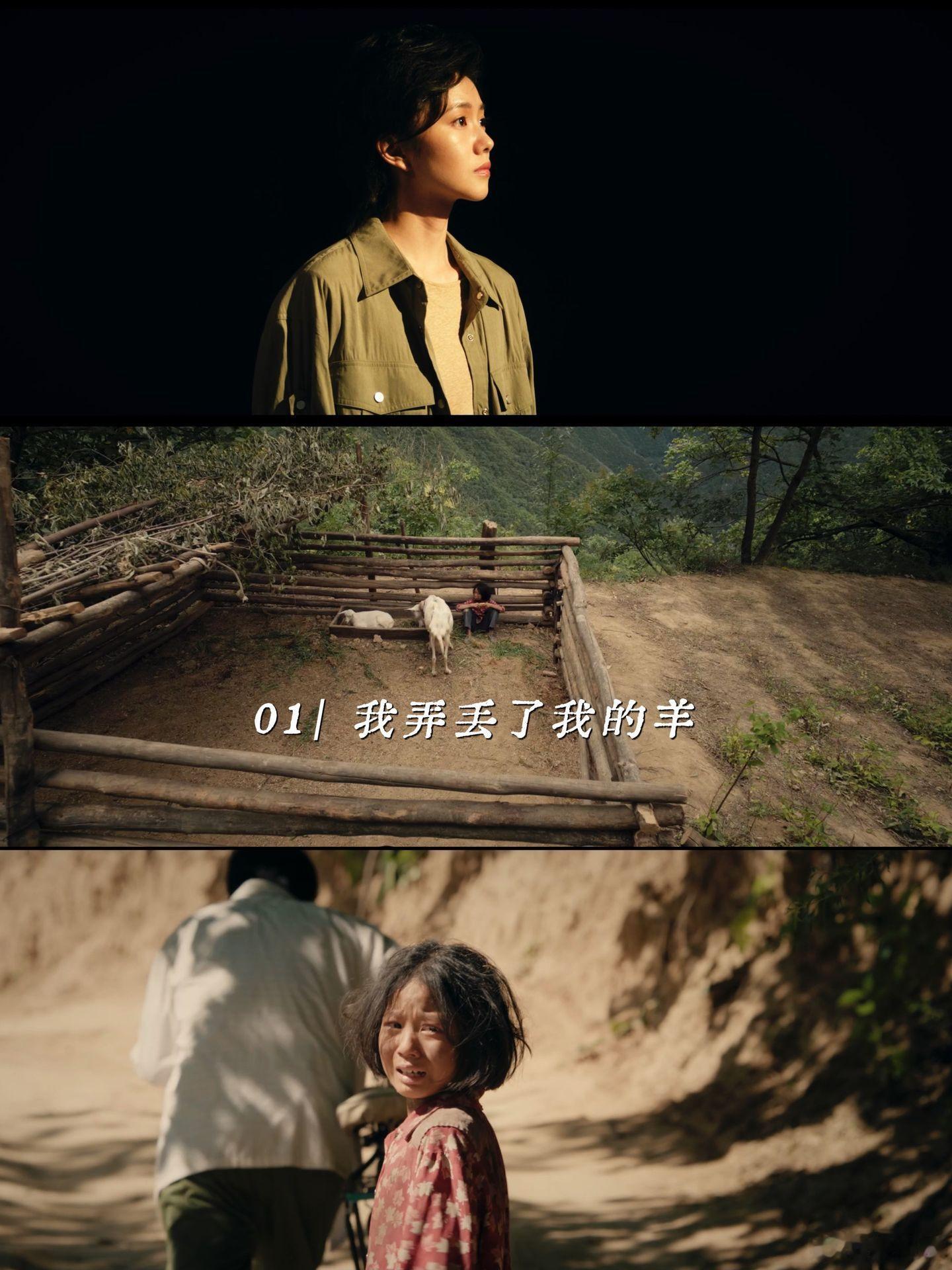 主角收视全国破3西北区破7主角次日云合9%《主角》里“花姨说这就是‘主角’”那段