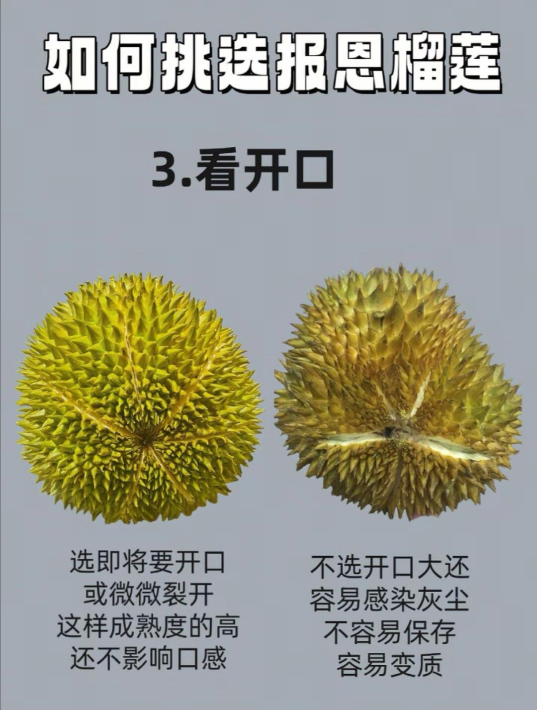 榴莲成了音乐节硬通货 又到吃榴莲的季节了！希望可以帮助大家选到报恩榴莲，有一种香