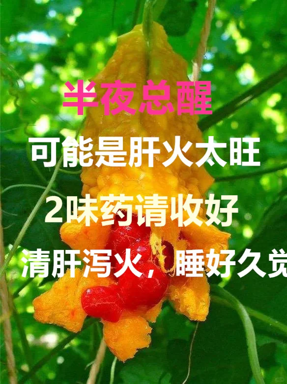 半夜总醒，可能是肝火太旺，两味药请收好，清肝泻火，睡好久觉 . 今天给...