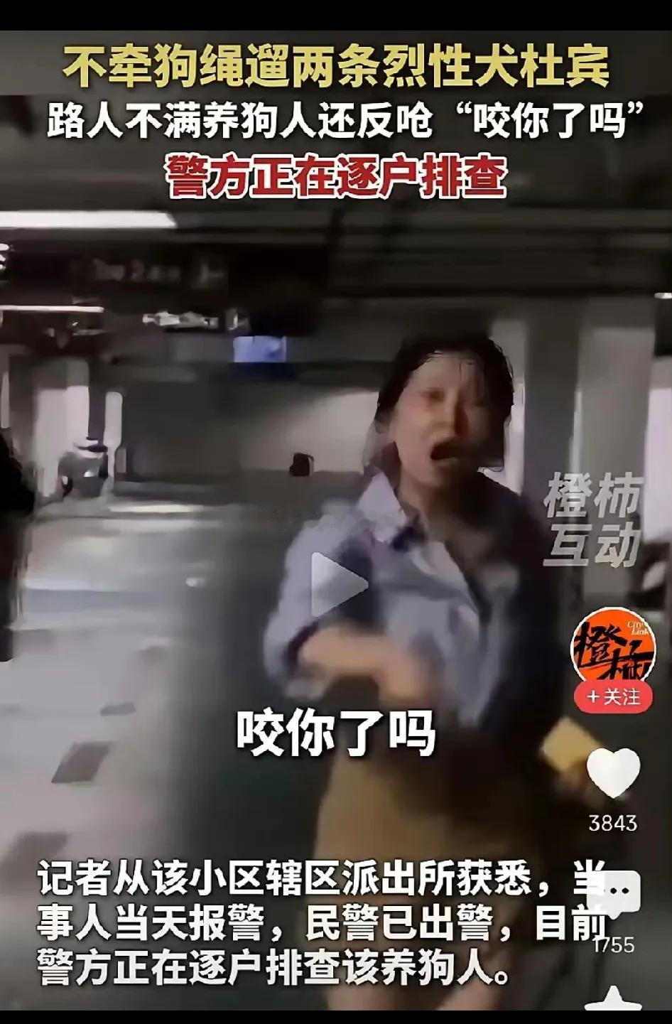 如何对付某些嚣张的养狗人？只需一招，就可以解决这个问题。

不管是啥人，也不管他