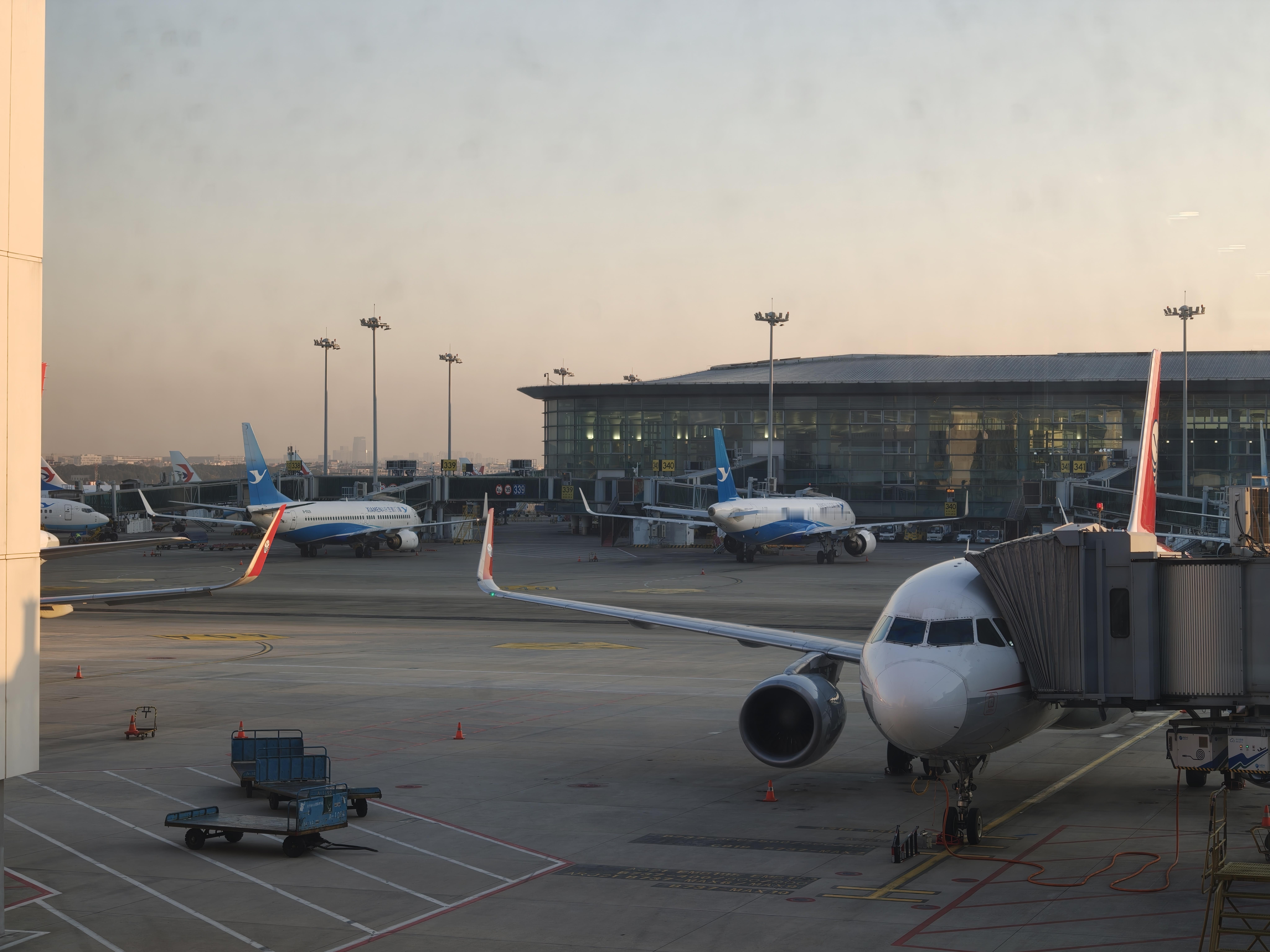 早啊，等哥发达了给大伙儿安排飞机✈️