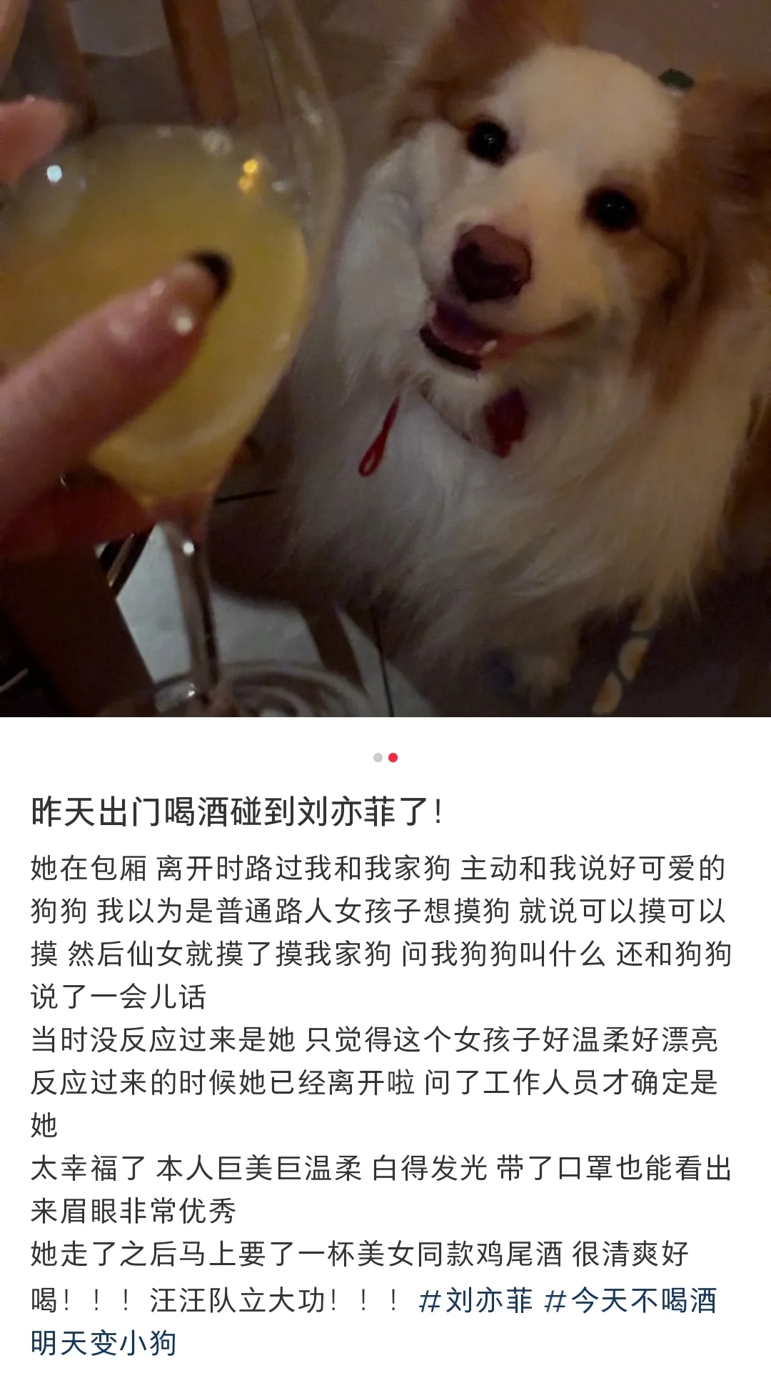 刘亦菲又在外面摸小狗，宠物，刘亦菲诱捕器