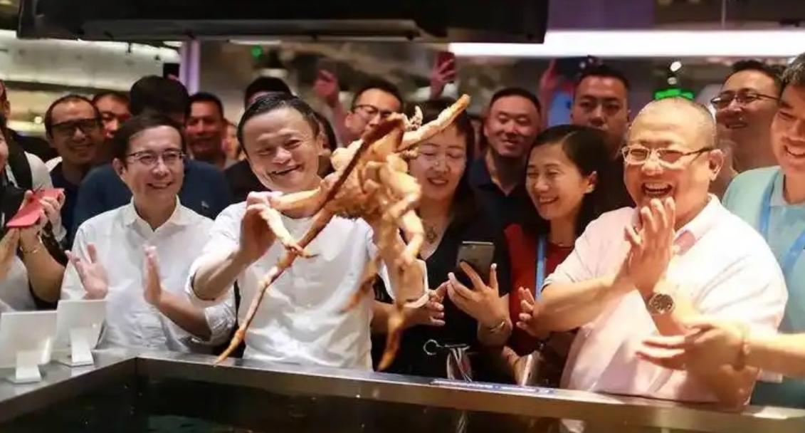 盒马叫停X会员店后接下来要做什么？

很多人没明白一件事儿，是盒马X会员店关了，