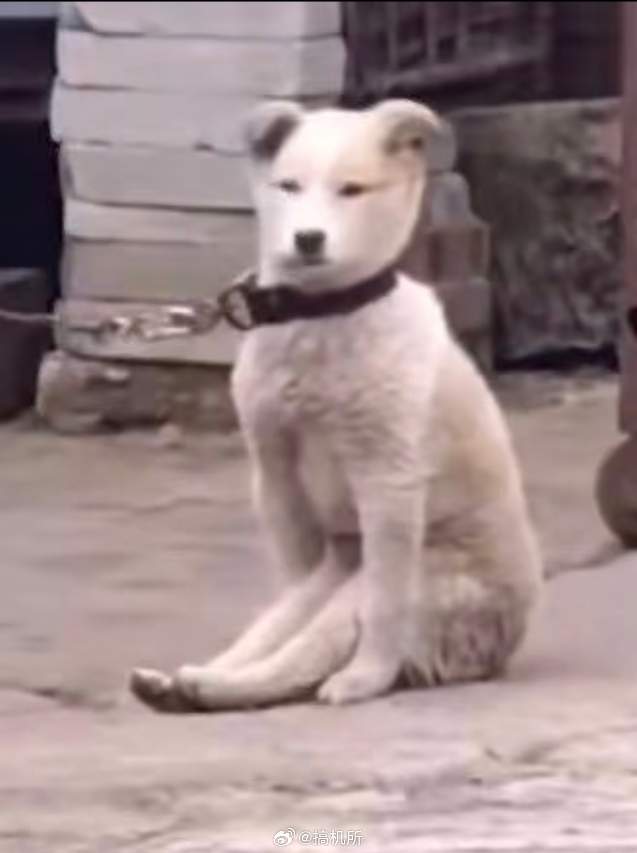 熟人羞耻症最害怕在熟人面前发言、在熟人面前表演，在外人面前反而能放得开一点