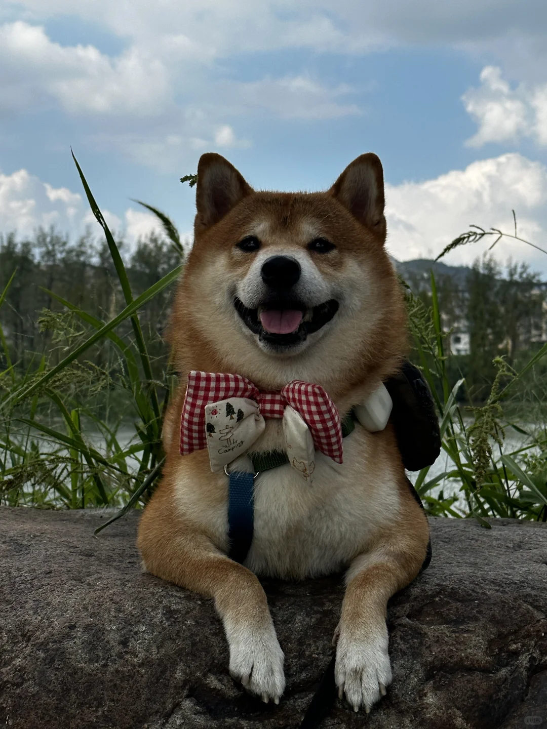 ⛺️