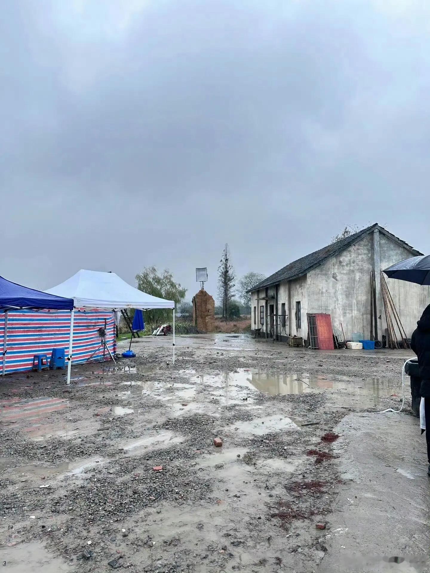 在《种地吧》的田野里，我们见证了一群少年用双手和汗水编织梦想。他们不仅改变了土地