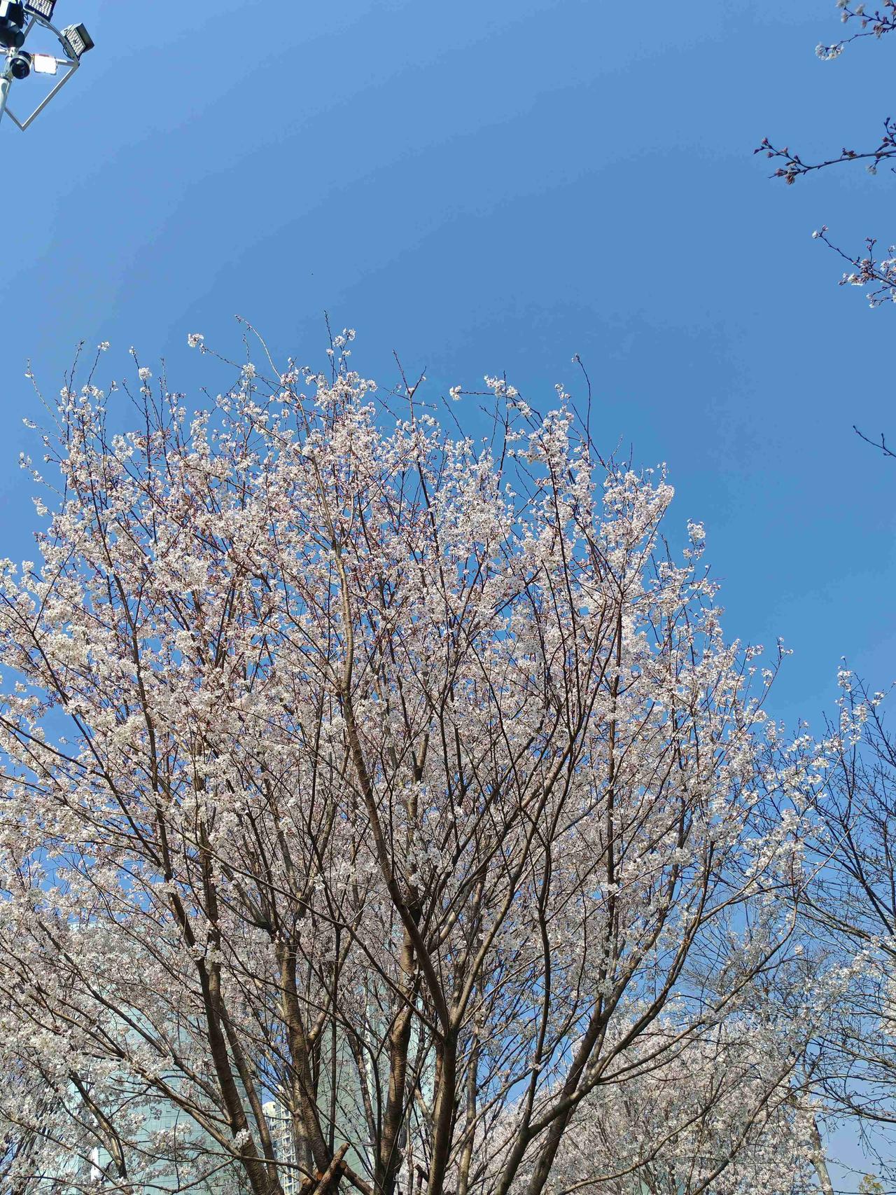 我的今日状态：😁轻松愉快
我这里的天气：☀️晴天