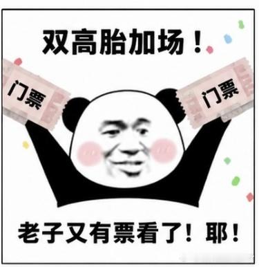 双高胎一句话救活了抢票党 本来已经接受“没抢到票=人生留白”了，结果双高胎抢票突
