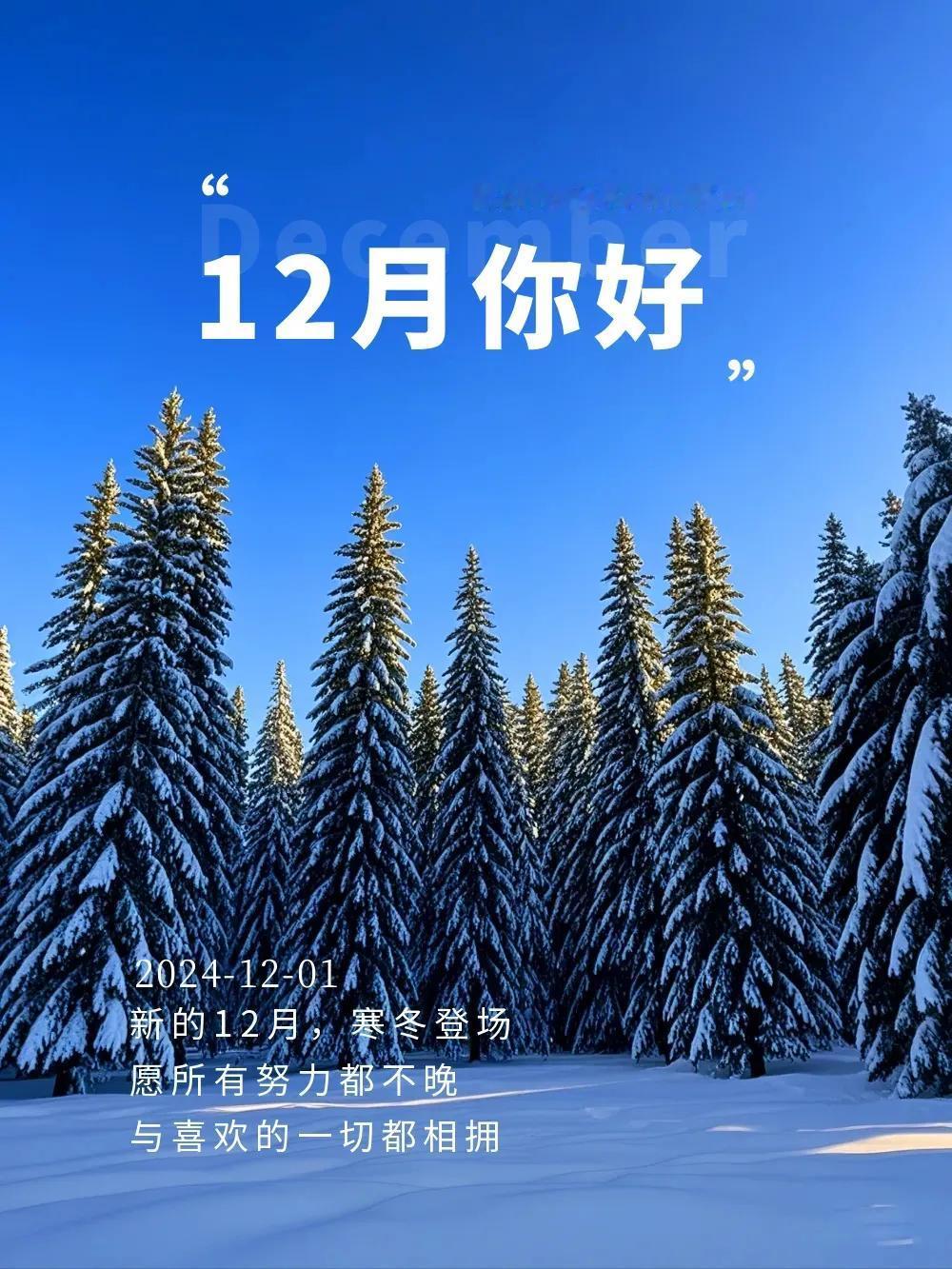 12月你好！时光悠然，岁月安详， 祈愿未来岁月，生活频添小确幸。旧岁将末，寒冬悄