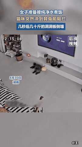 惊呆了所有人！近日湖南，女子准备去接纯净水煮午饭，原本睡在客厅的猫咪突然冲到女子