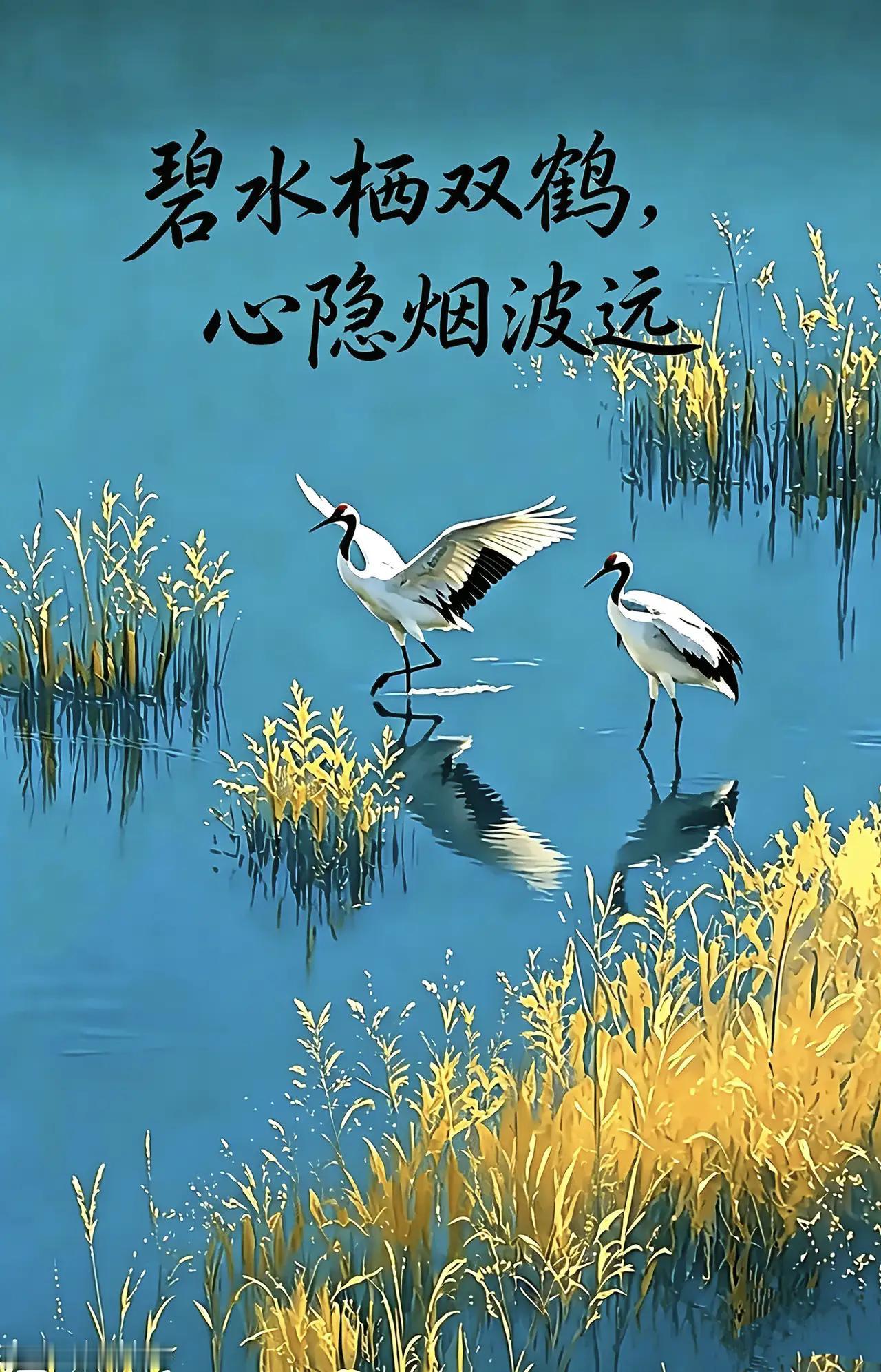 《清平乐·朝光安暖》

迎朝初旭。
岁岁身无束。
淡度寻常朝夕趣，
心伴晴光共沐