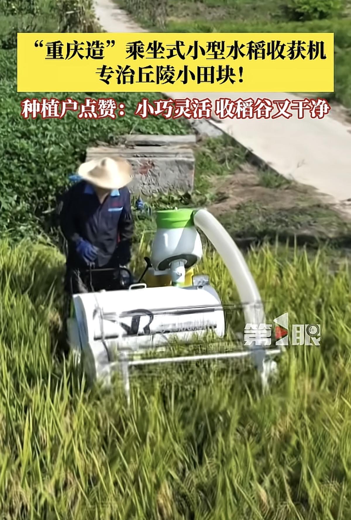 重庆造小型水稻收获机：破解丘陵小田块机械化难题
 
8月16日，由重庆市农科院指
