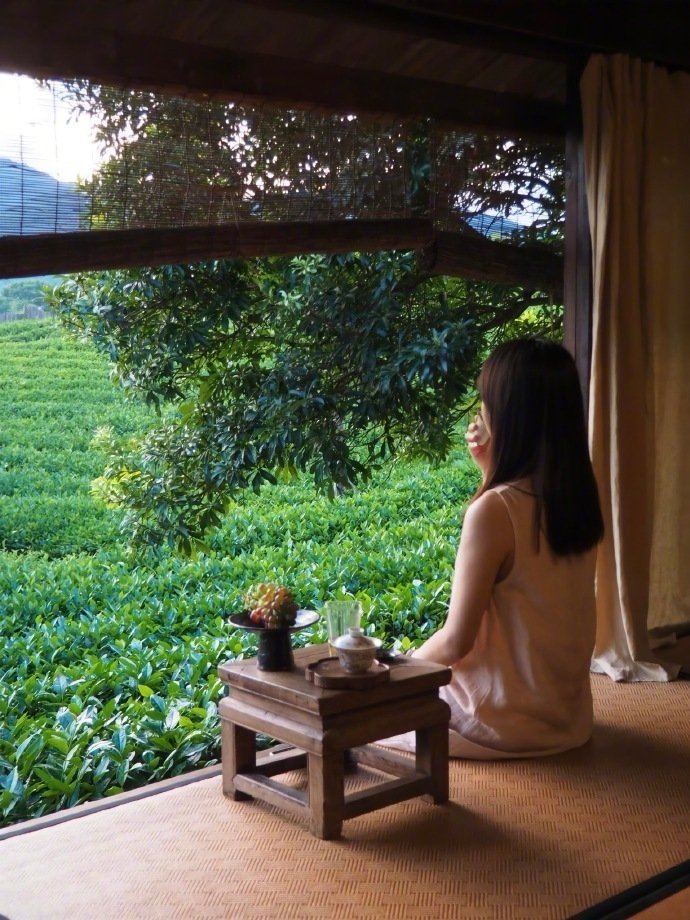“ 大自然是自由的,是疲惫生活里的解药 ” ​ ​​​