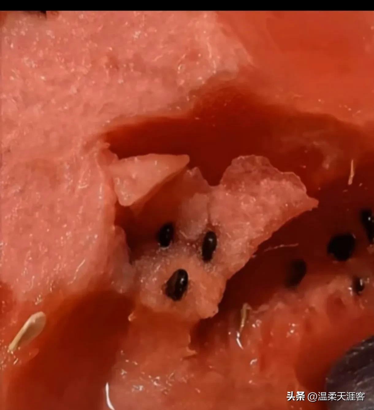 谁请我吃一顿烧烤
我教给你吃🍉
慢挖西瓜解暑炎，
偶然琢出小灵犬。
人间趣味皆