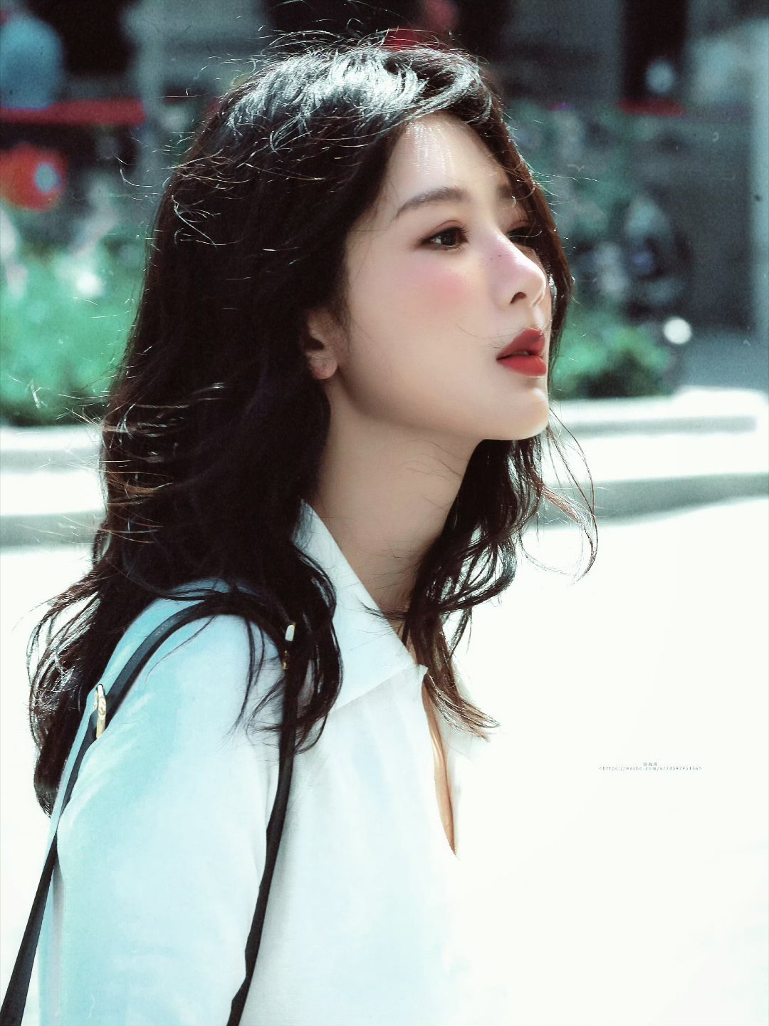杨紫 杨紫董竹君  杨紫白菊  我知道你心事如宇宙，浩渺无边，你的每一段人生都如