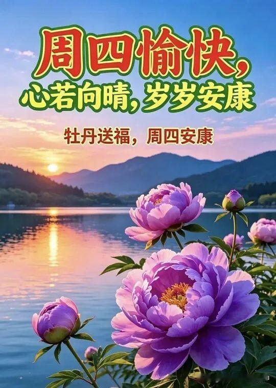 周四愉快，心若向阳，岁岁安康🌸🌞