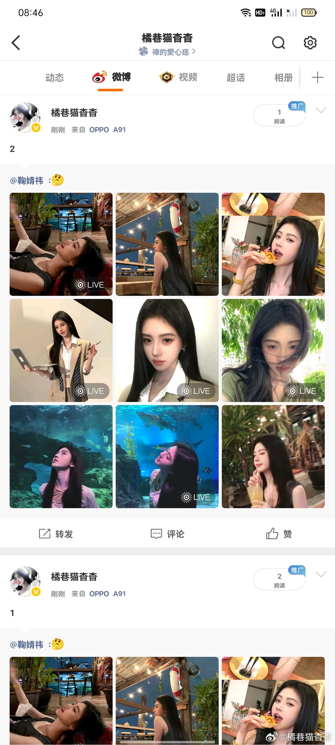 3.28榨汁机日常早安✅  专栏 · 橘巷猫杳杳【日常📚🍊】