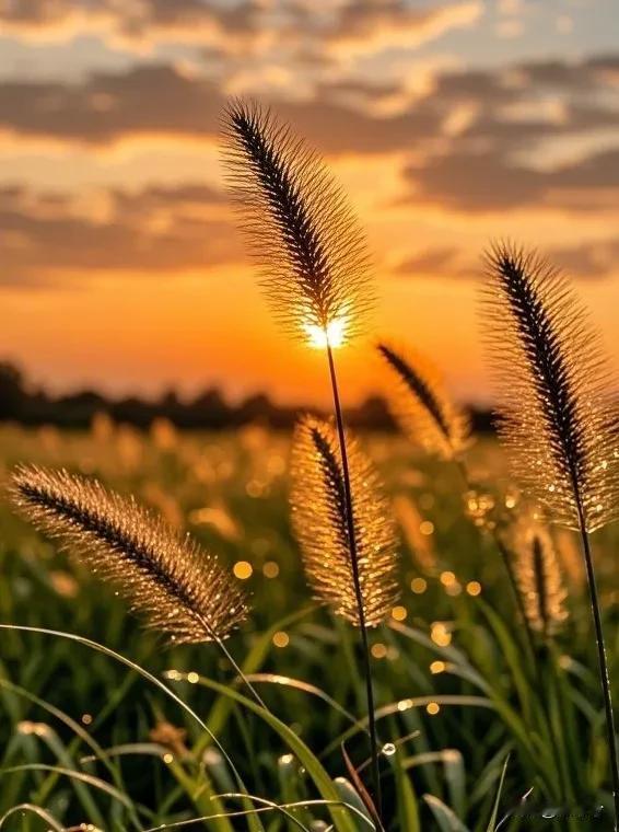 人这一辈子，
真就像手里攥着的一本书。
 
翻得太急、太不经意，好多珍贵的瞬间就