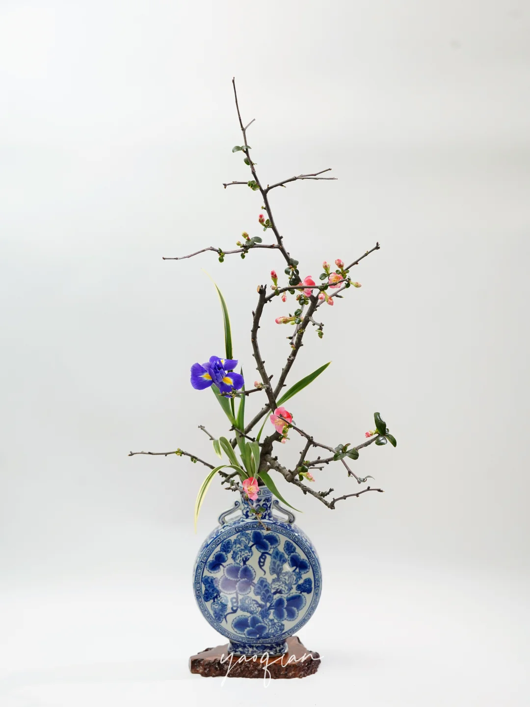 雪绽霞铺锦水头，占春颜色最风流。