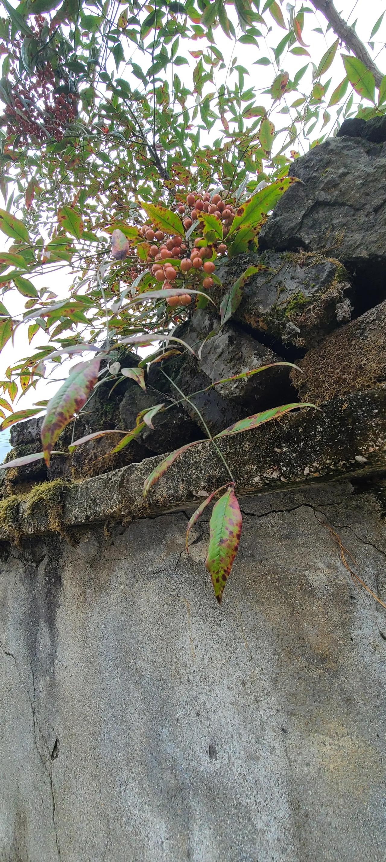 上联：淋春夏秋冬雨；请你对下联吹东南西北风！
