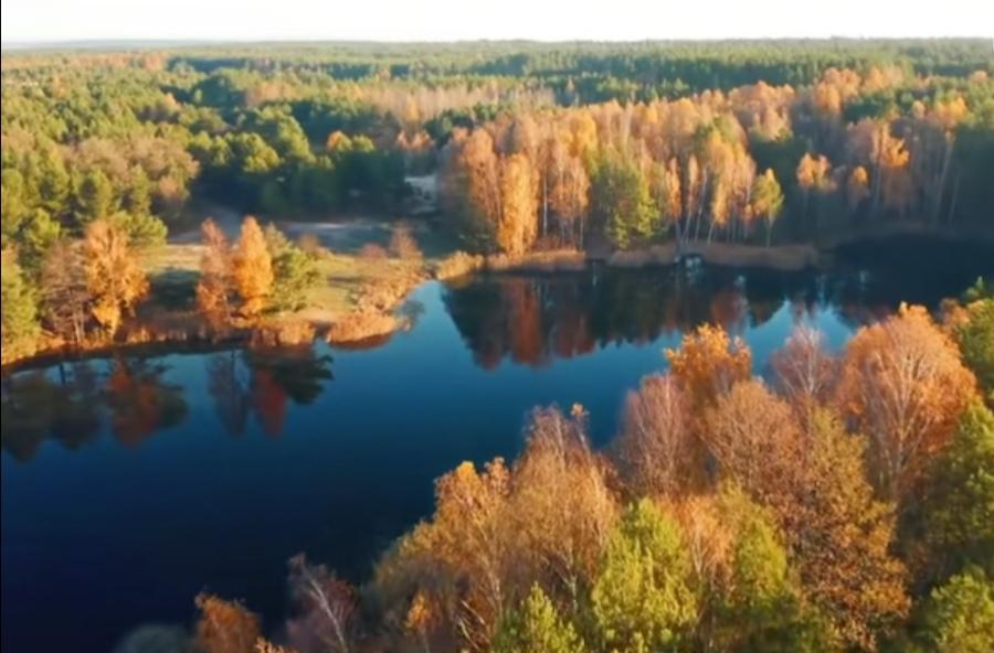 分享一张最近随手拍的照片