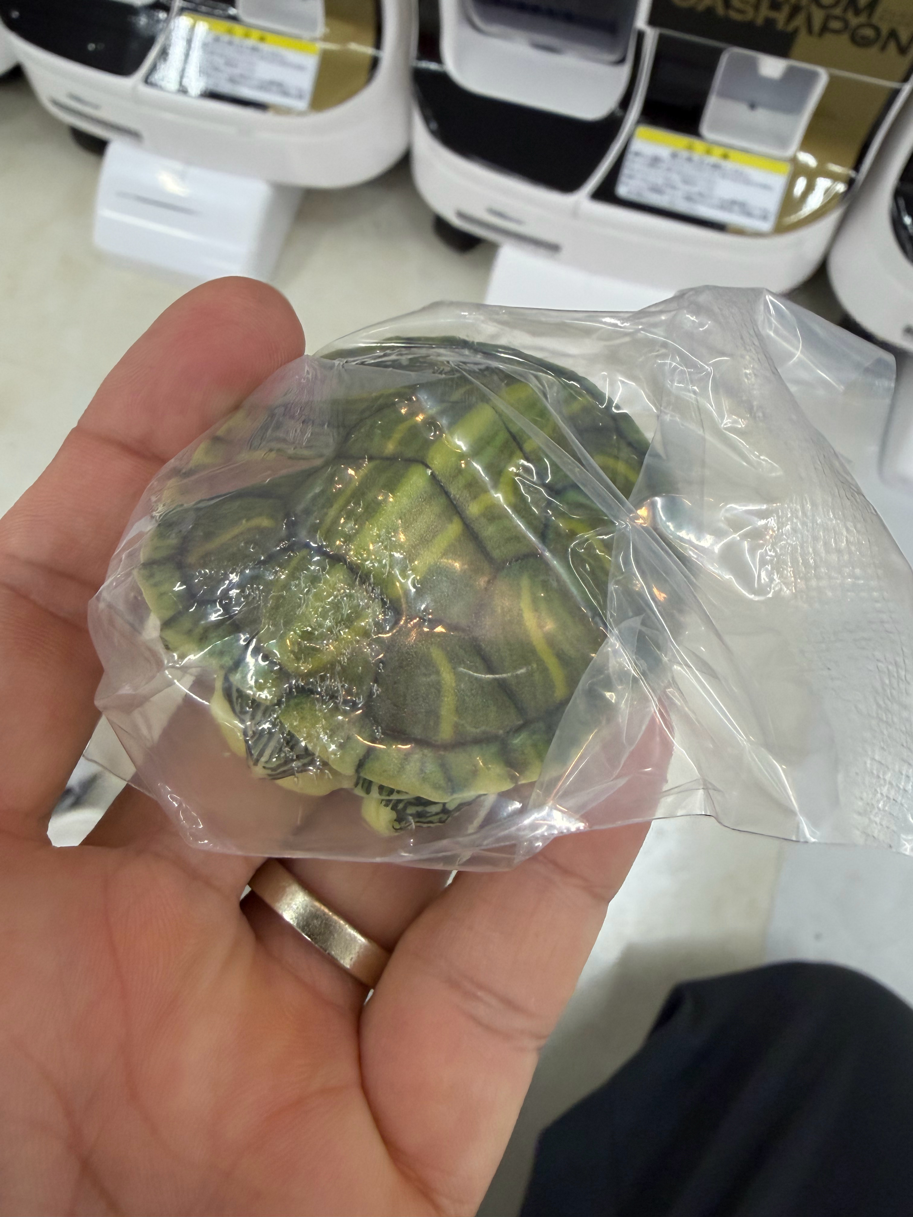 早上八点跑去扭蛋1/4的机率抽中最值钱的浅色款！24年的老扭蛋、整个西日本只剩下